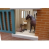 Horse stable with 7 boxes