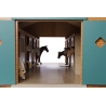 Horse stable with 7 boxes