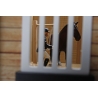 Wood Horse stable with 4 boxes storage and wash box