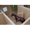 Horse stable with 4 boxes storage and wash box