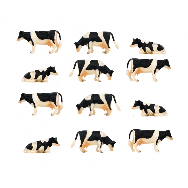 Cows 12pcs