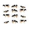 Cows 12pcs