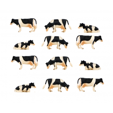 Cows 12pcs