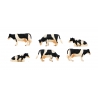 Cows 6pcs